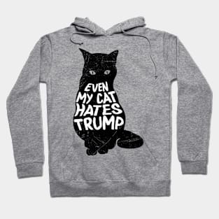 Anti Trump Support Zelensky Cat Hoodie